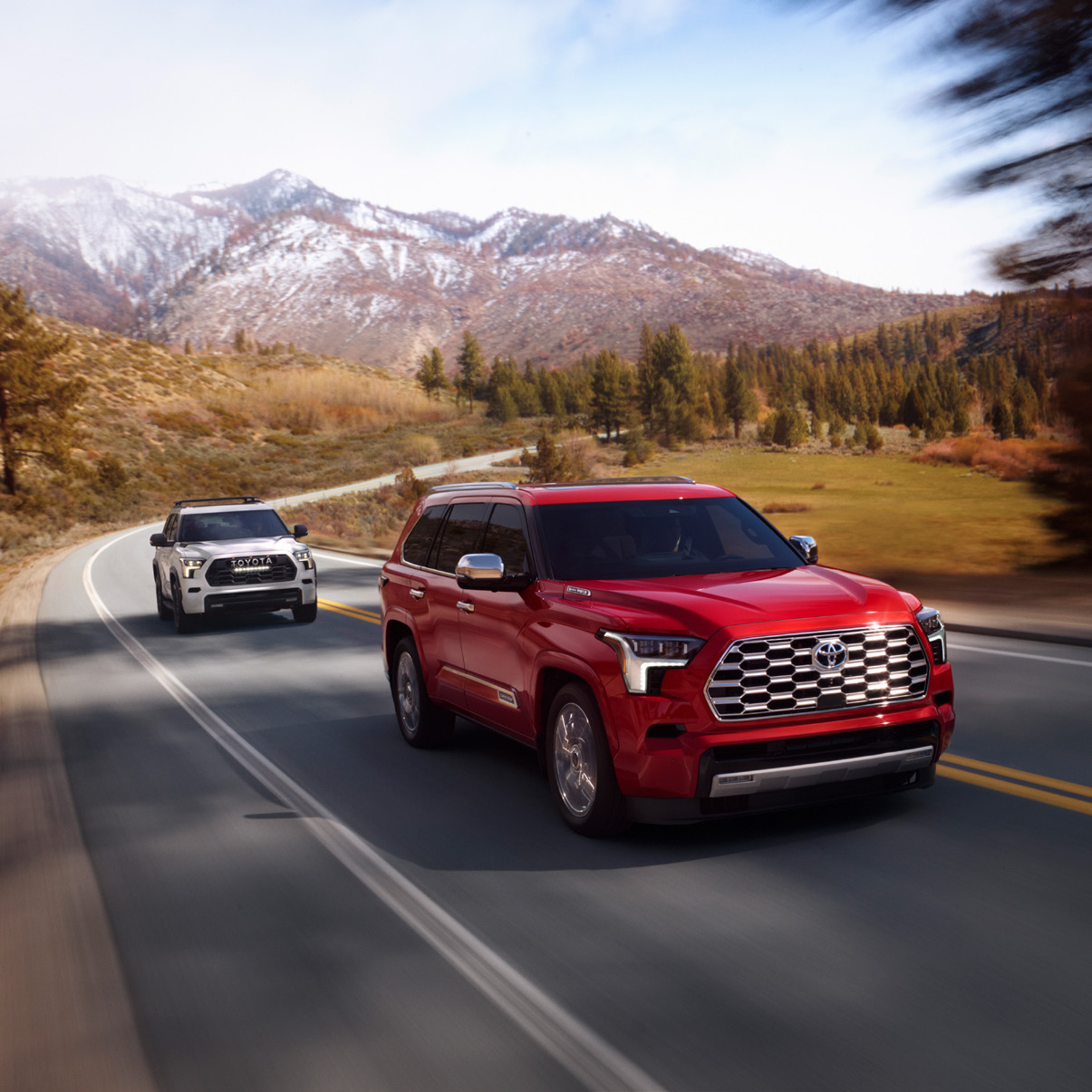 2024 Toyota SEQUOIA