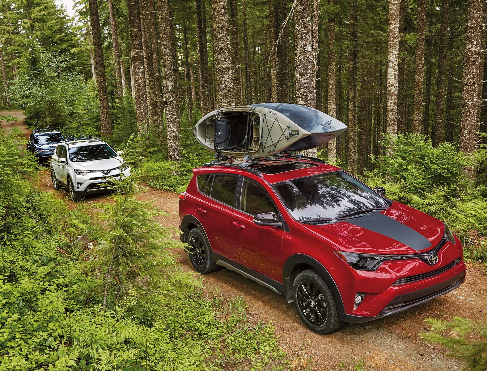 2018 Toyota RAV4