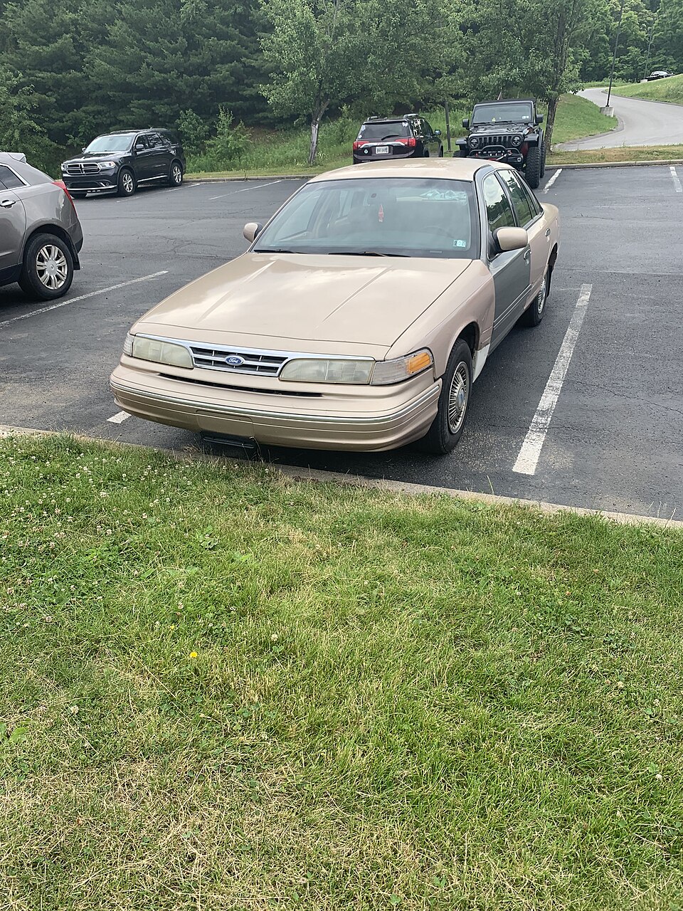 1995 Ford Crown Victoria (EN53)