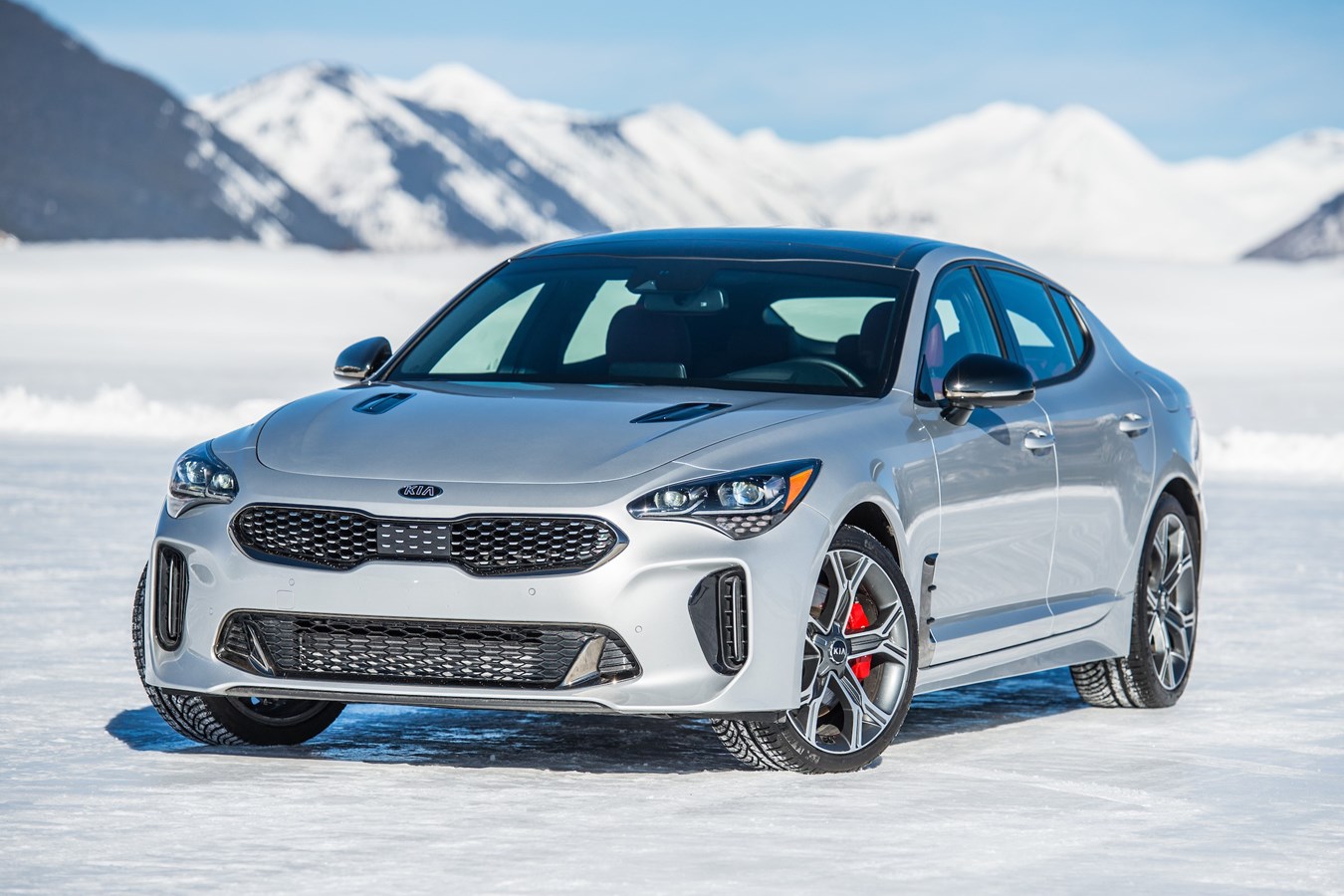 2021 Stinger