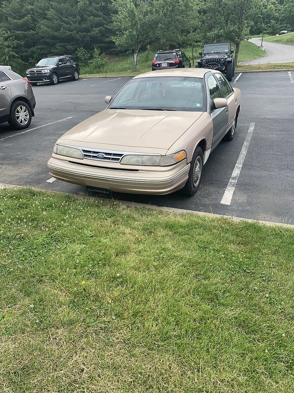 1995 Ford Crown Victoria (EN53), photographed in United States