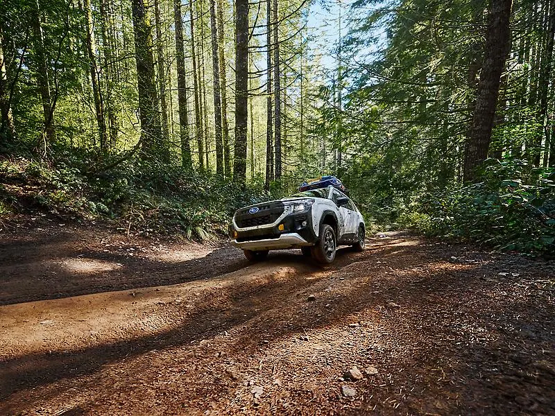 2026 Subaru Forester Wilderness (United States market)